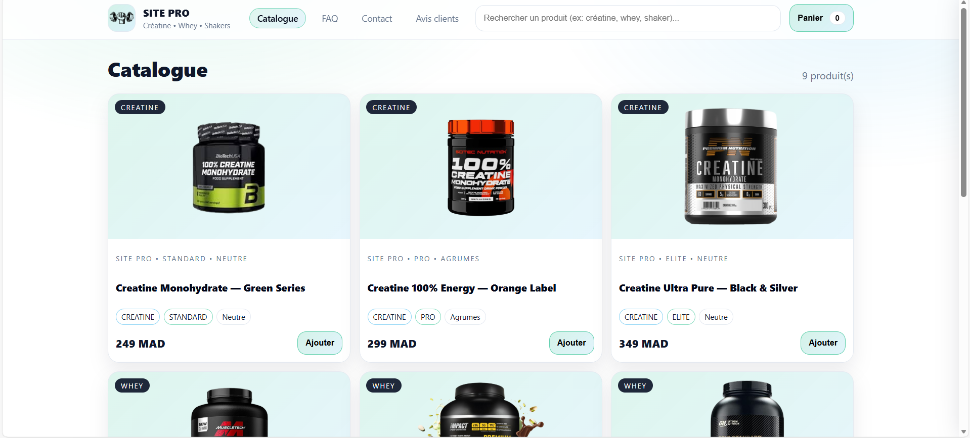 Aperçu Site Pro (Pack Pro / Dynamique)